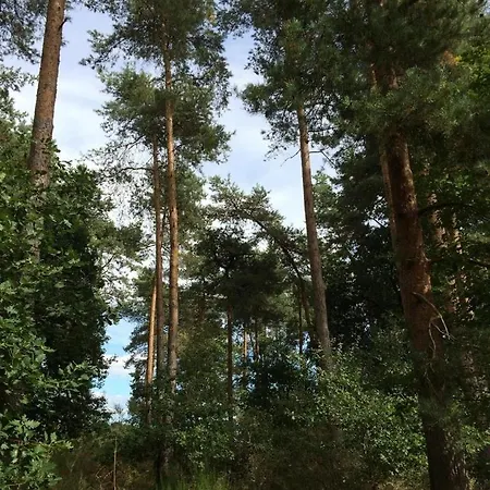 Alte Schmiede In Denkmalgeschuetzter Hofanlage Appartement *