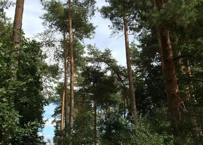 Alte Schmiede In Denkmalgeschuetzter Hofanlage Apartamento *