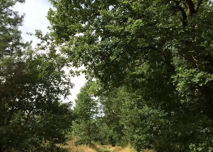 Apartamento Alte Schmiede In Denkmalgeschuetzter Hofanlage Messerich