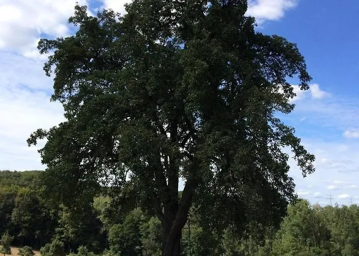 Apartamento Alte Schmiede In Denkmalgeschuetzter Hofanlage