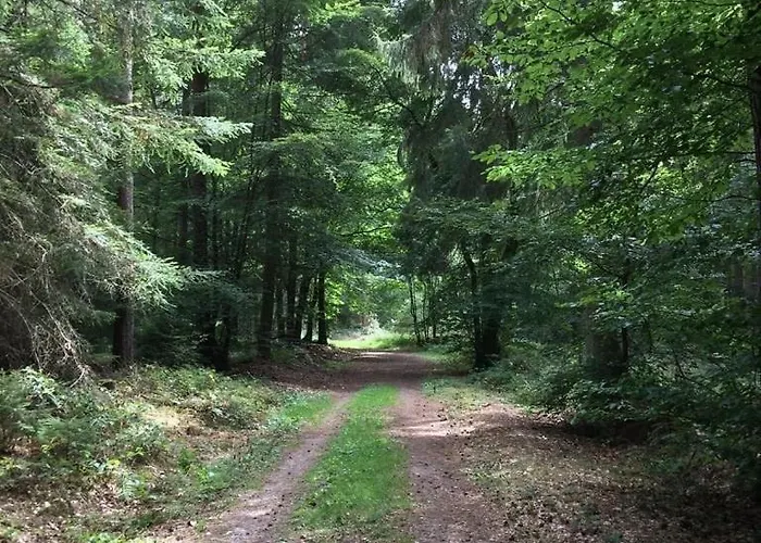 Apartamento Alte Schmiede In Denkmalgeschuetzter Hofanlage Messerich